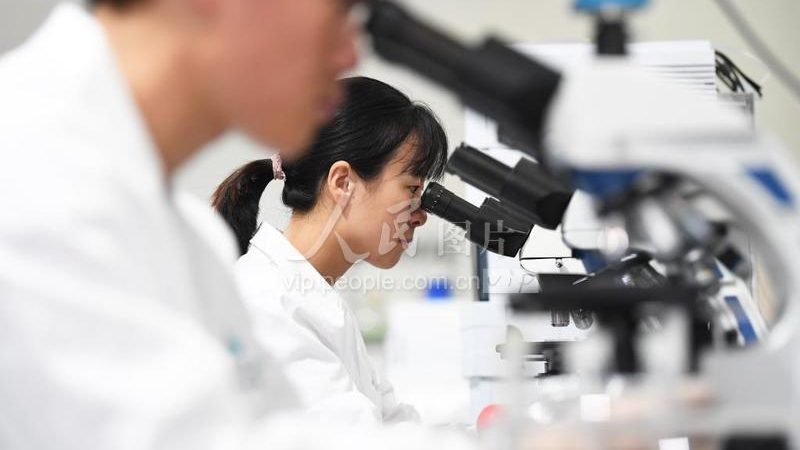 上海CDMO定制服务：揭秘生物医药研发的幕后推手**