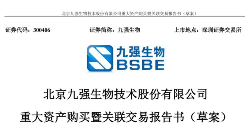 大分子CDMO：揭秘生物制药领域的“幕后英雄”**