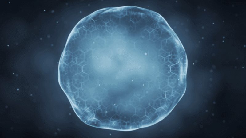 无创产前基因检测：标准规范背后的科学逻辑