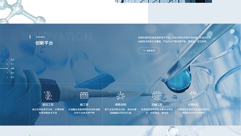 CDMO定制研发服务：揭秘医药研发的“幕后英雄