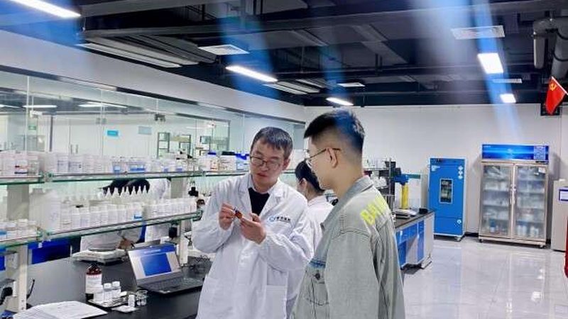 CDMO技术平台：揭秘药物研发的“幕后英雄”**