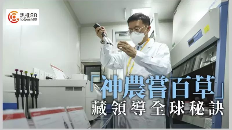 CDMO定制研发：揭秘定制化药物研发背后的价格构成