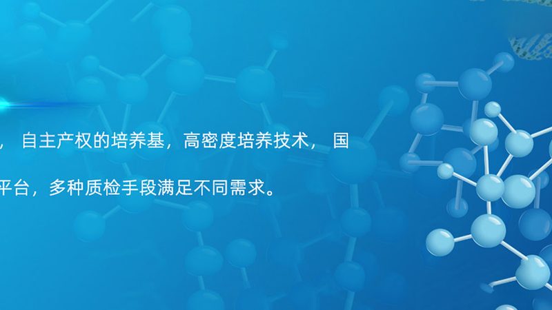 D细胞培养：揭秘上海优质服务提供商**