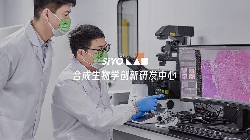 CDMO公司排名背后的创新药研发真相**