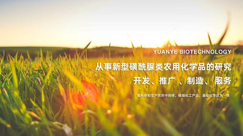 CDMO代工：揭秘医药研发背后的“隐形英雄