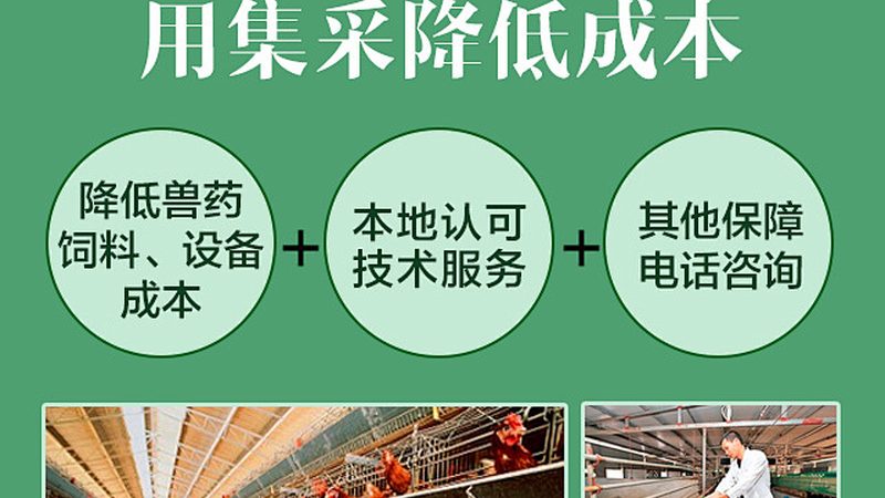 CDMO技术平台排名背后的考量因素