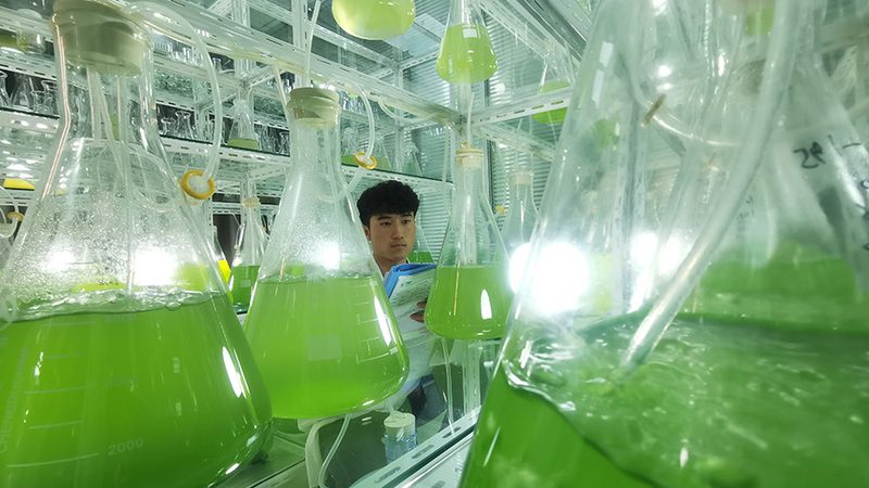 北京CDMO和CMO企业：揭秘医药研发背后的关键力量